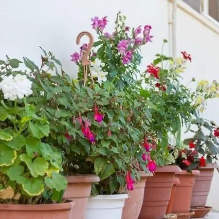 Alijev 게스트하우스 스플리트