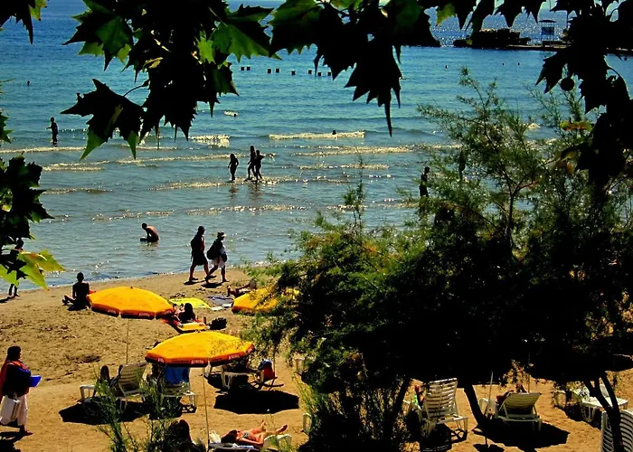 Affittacamere Alijev