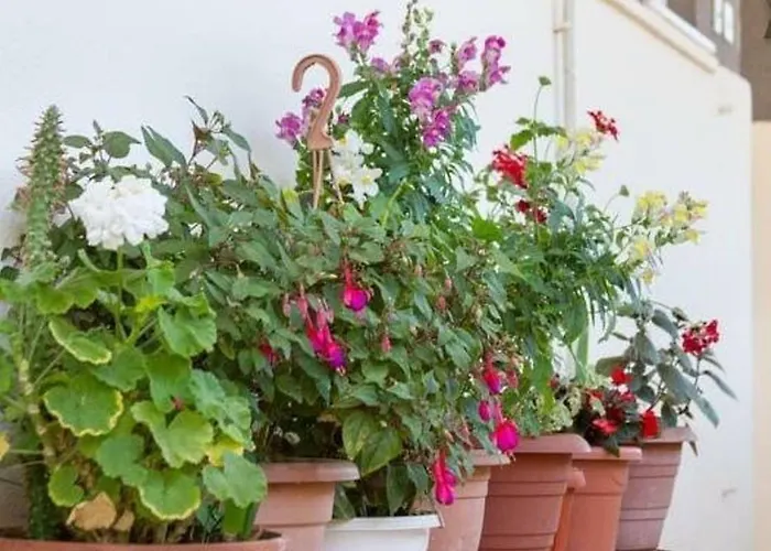 Alijev Affittacamere Spalato